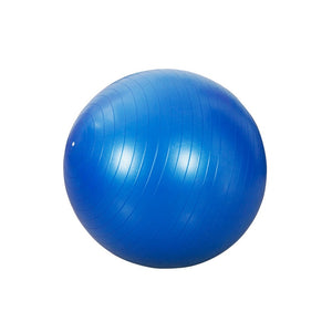 PVC Explosion-proof Balance Ball