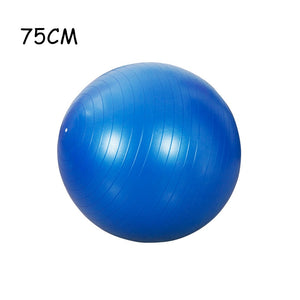 PVC Explosion-proof Balance Ball
