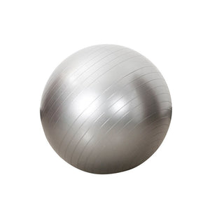 PVC Explosion-proof Balance Ball